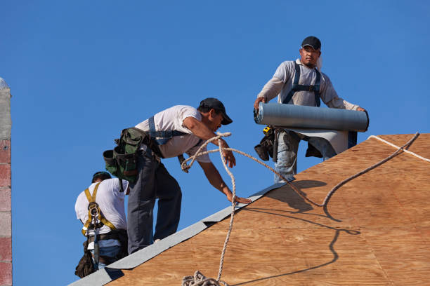 Best Commercial Roofing Services  in Vernon Hls, IL