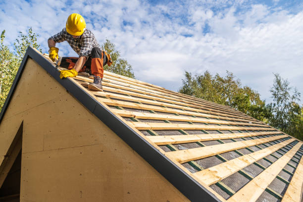Best Storm Damage Roof Repair  in Vernon Hls, IL